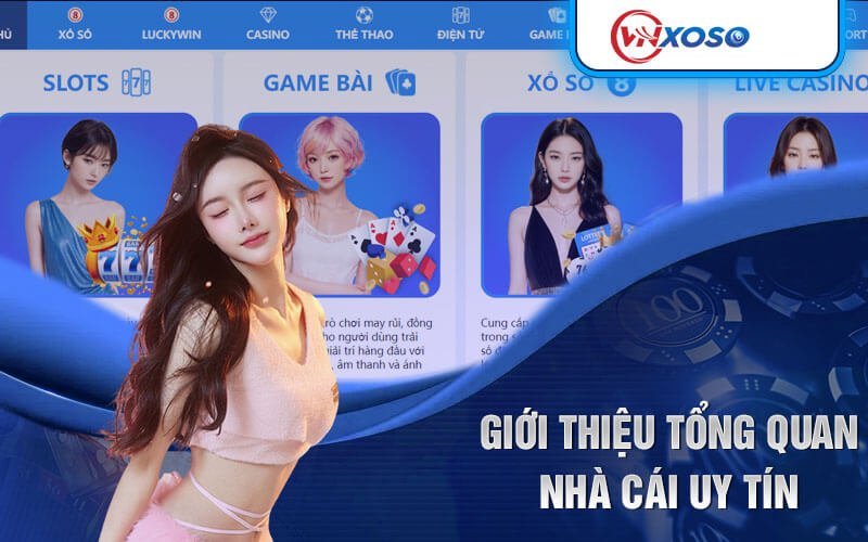 VNXOSO được cấp giấy phép đầy đủ VNXOSO được cấp giấy phép đầy đủ